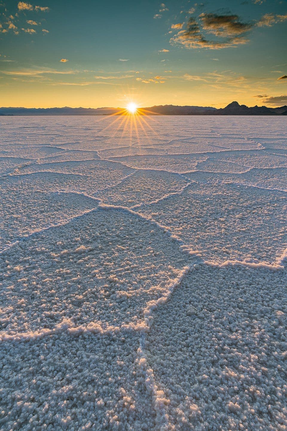 Rann of Kutch photo 3