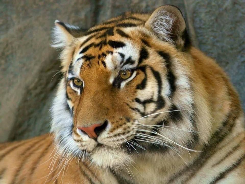 Sundarbans, West Bengal