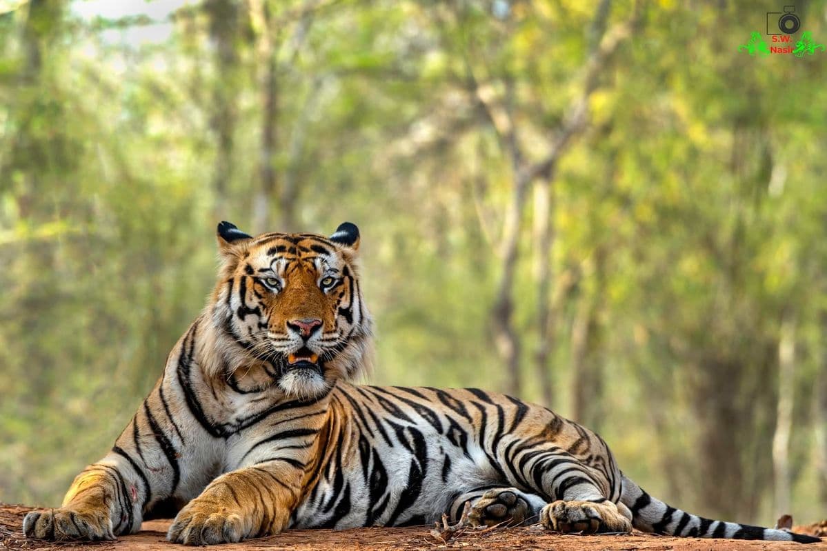 Assam