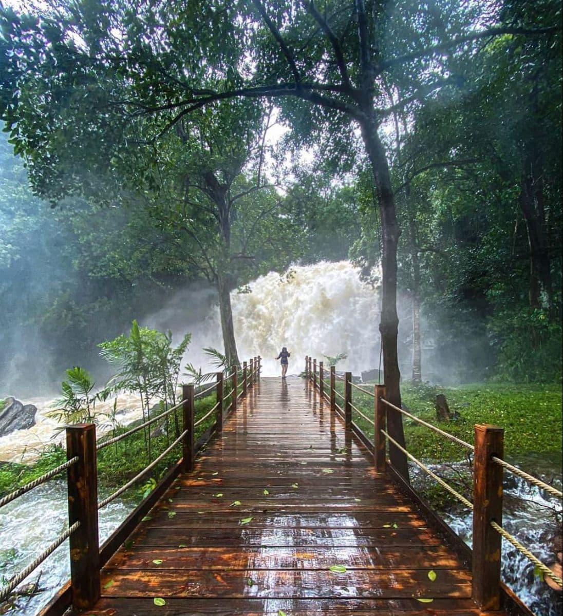 Coorg (Madikeri) photo 4