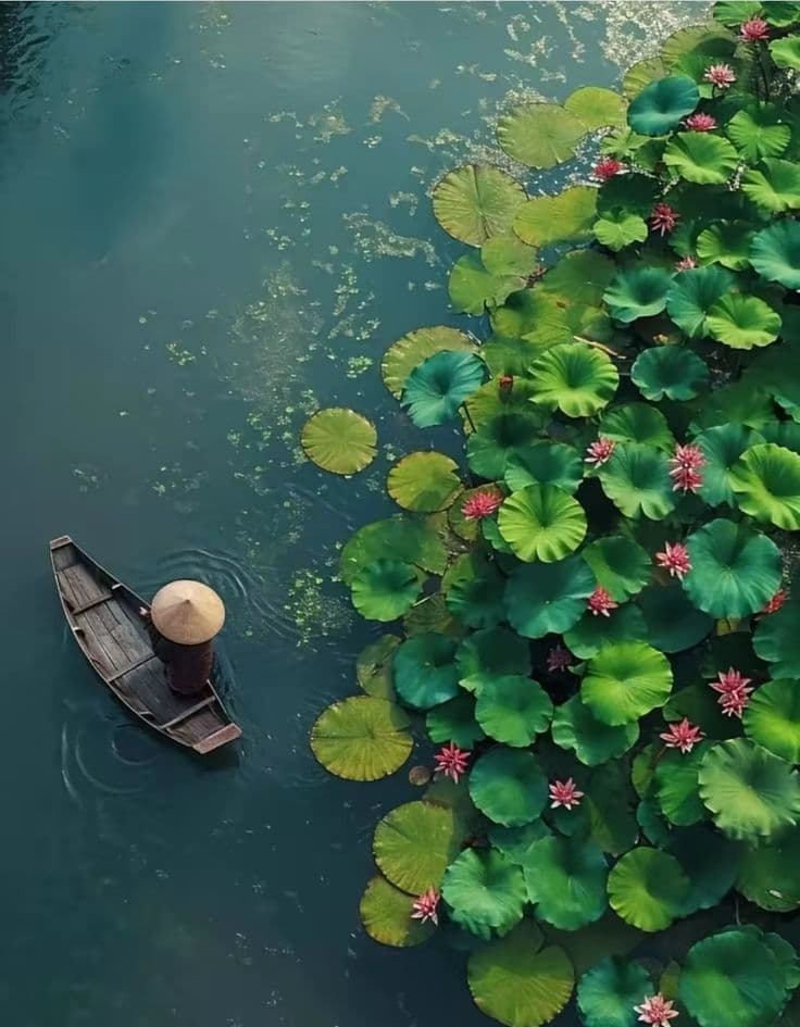 Loktak Lake photo 3