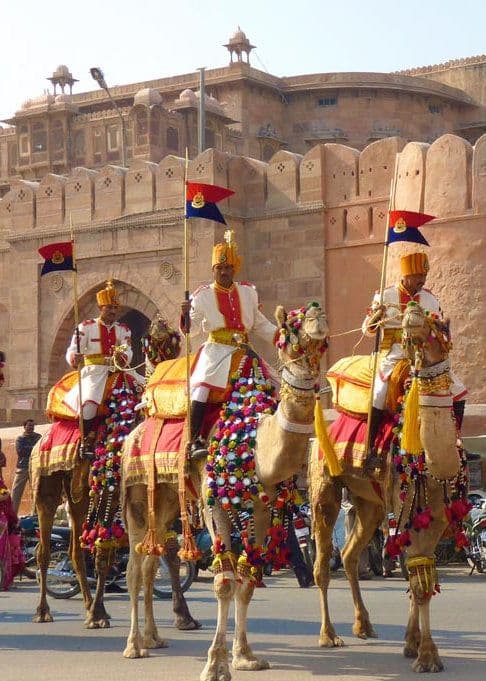 Bikaner Camel Festival