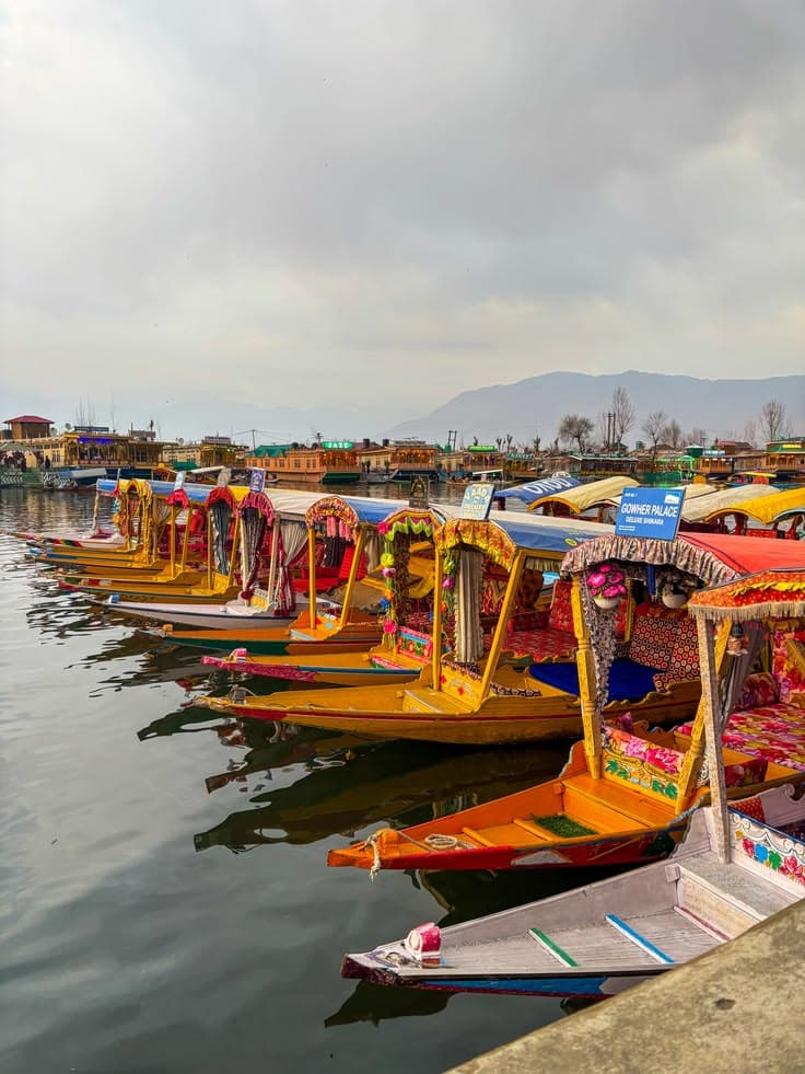 Srinagar and Dal Lake photo 2