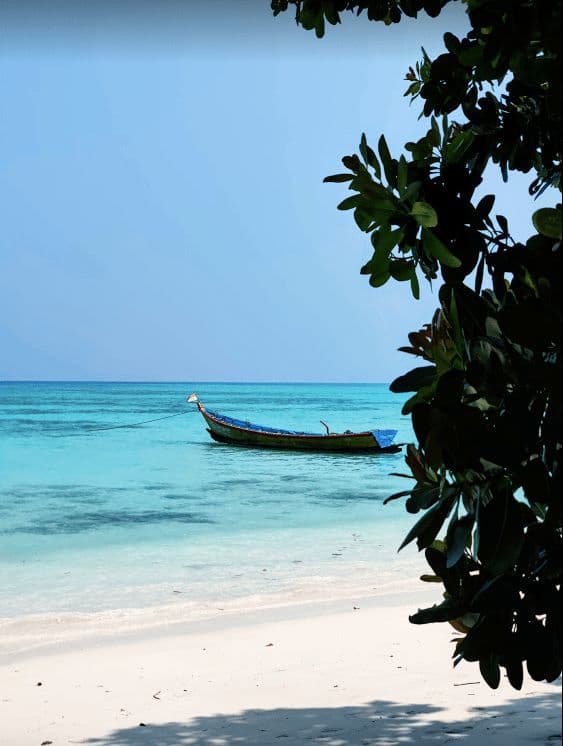 Havelock Island photo 2