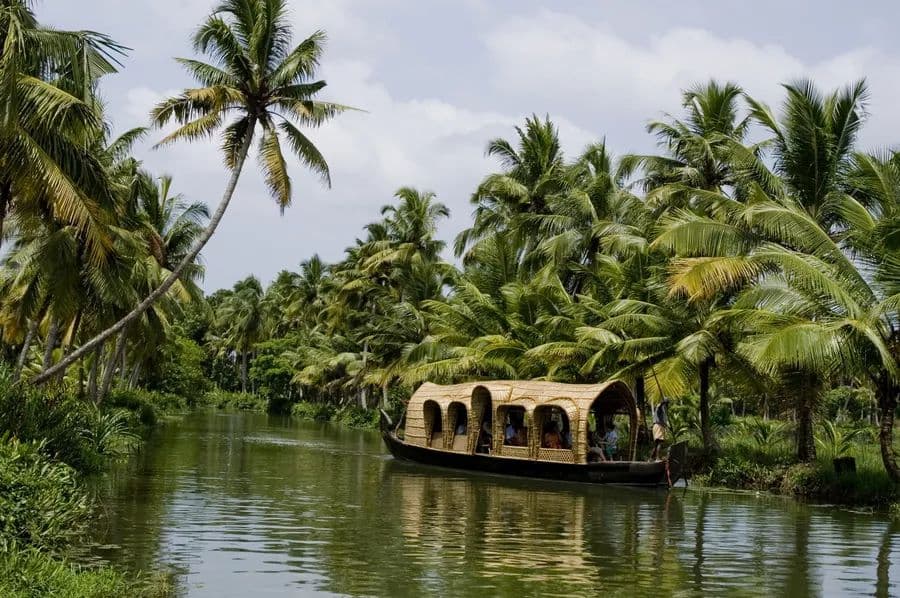 Alleppey Backwaters, Kerala - Travel Photo